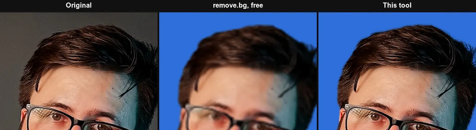 The hair at 100%: the original, remove.bg's free result enlarged, and this tool's cutout