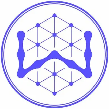 Wisdom AI