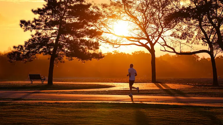 The 5 daily non-negotiables that drive my success