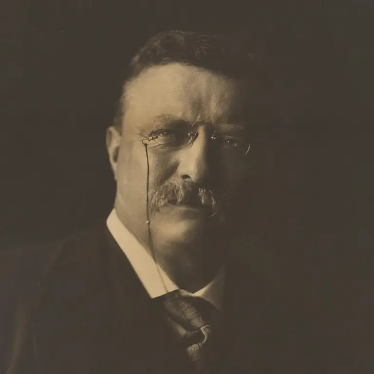 Theodore Roosevelt