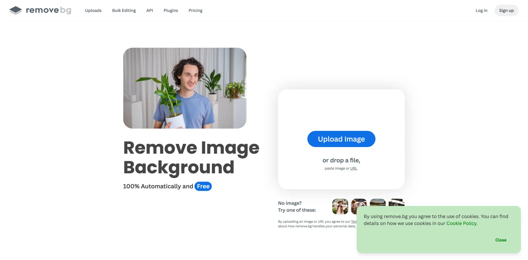 Remove.bg