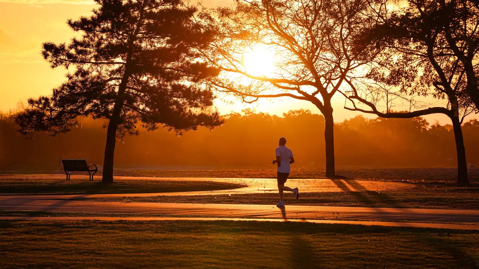 The 5 daily non-negotiables that drive my success