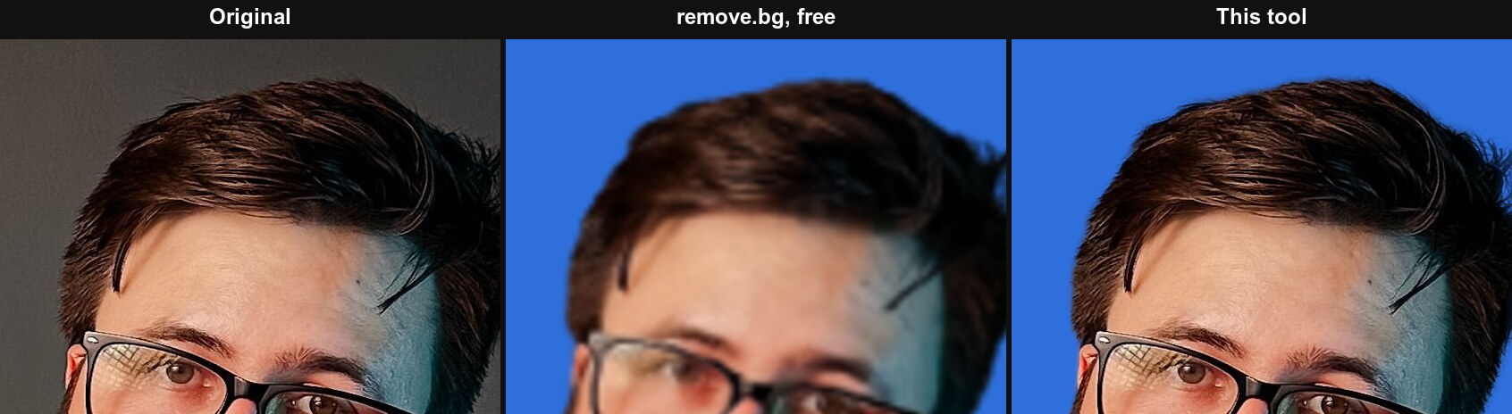 The hair at 100%: the original, remove.bg's free result enlarged, and this tool's cutout