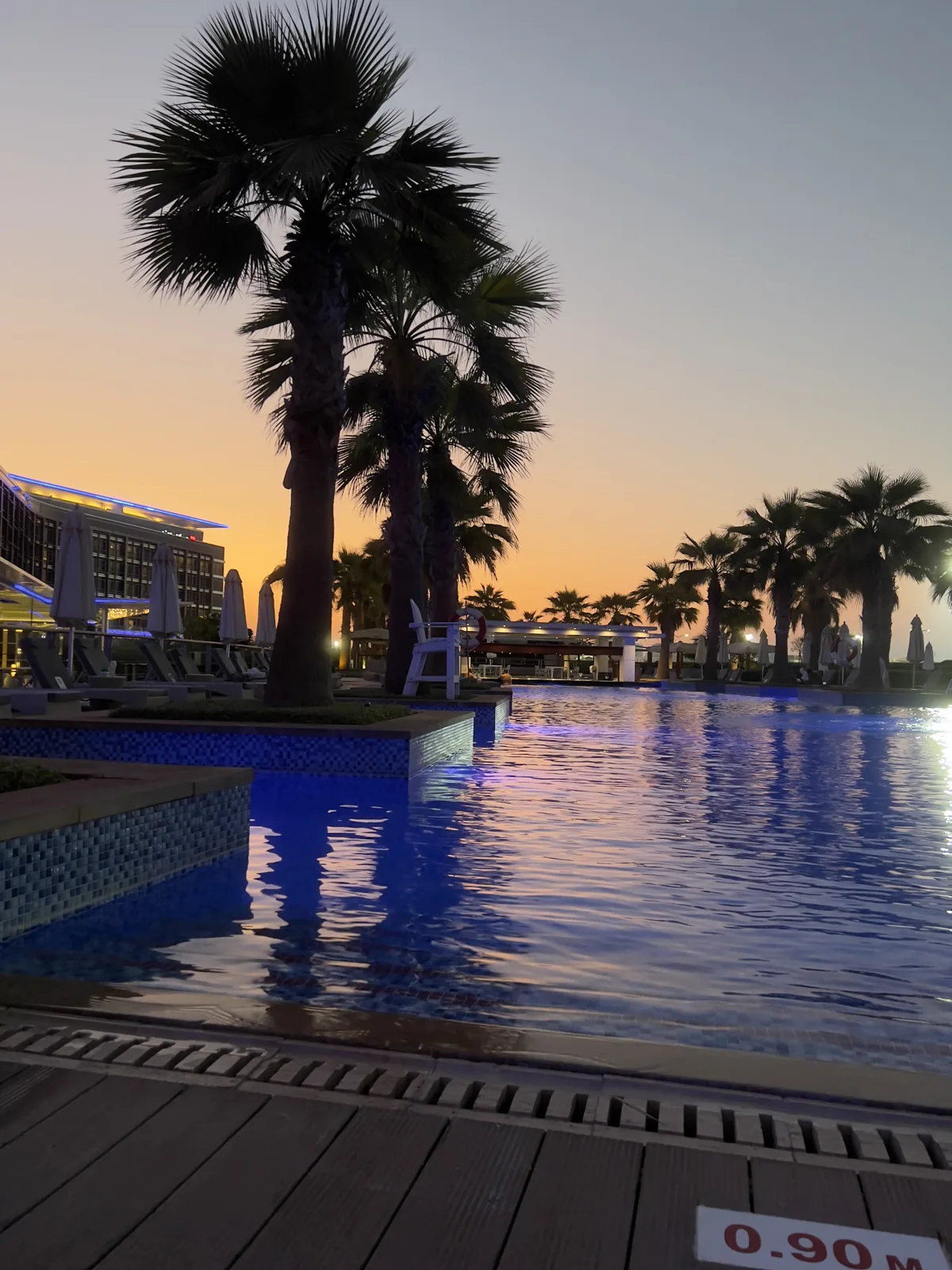 Palm trees by a pool at sunset in Abu Dhabi, October 31, 2021