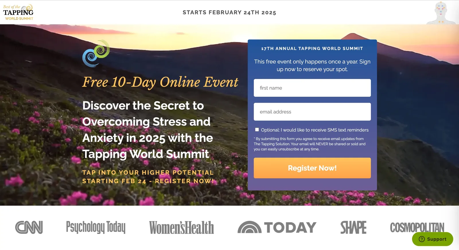The Tapping Wolrd Summit, Nick Ortner, best virtual event examples