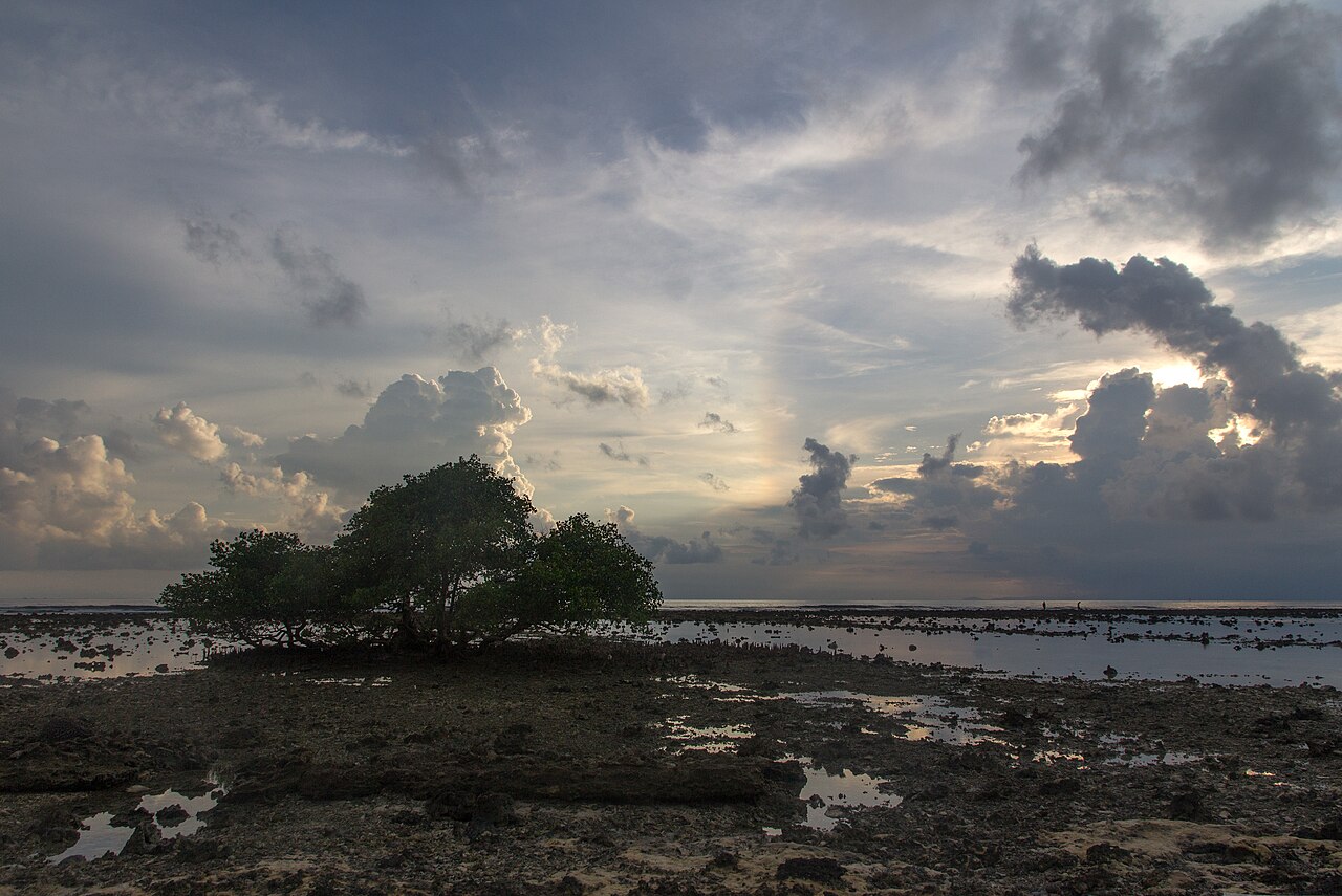 Gili T, Indonesia, a surf spot for beginners